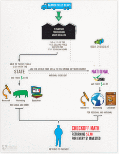 Soybean Statistics Infographic