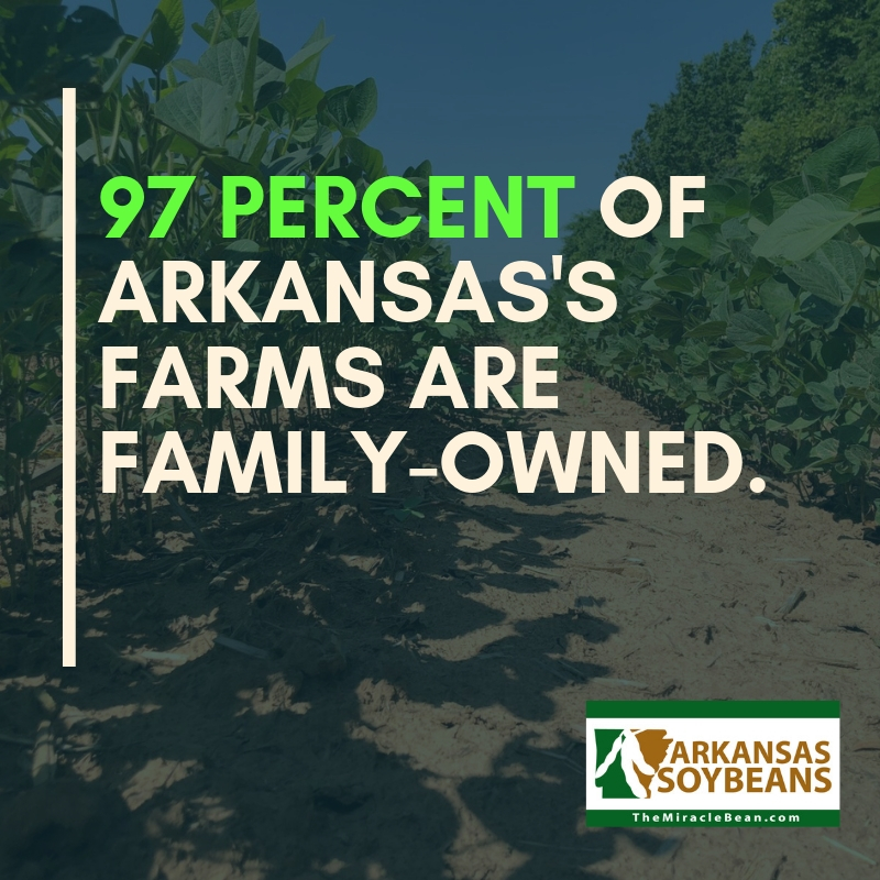 Arkansas Soybean Month The Miracle Bean