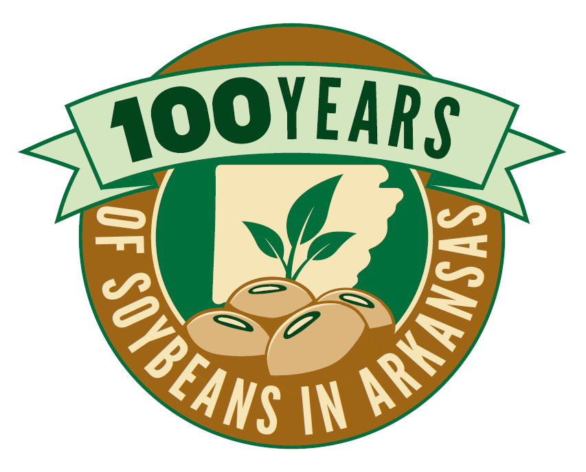 OFFICIAL 100 LOGO